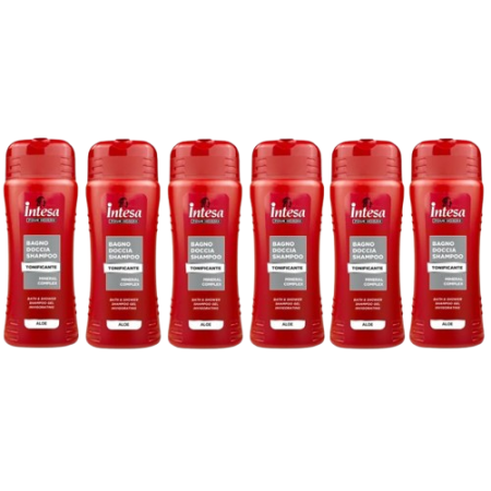 Intesa pour homme Aloe Duschgel & Shampoo 6x500ml